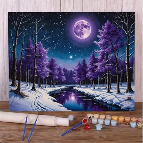 Mondschneesaison Malen Nach Zahlen Erwachsene,DIY Framed DIY Handgemalt Ölgemälde Leinwand Kits Mit Pinsels und Acrylfarbe Als Geschenke und Heimdekoration 45x60cm von ditlvy