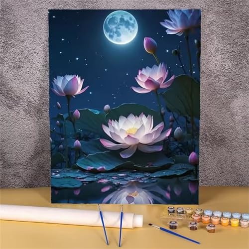 Nachtlotusblume Malen Nach Zahlen Erwachsene,DIY Framed DIY Handgemalt Ölgemälde Leinwand Kits Mit Pinsels und Acrylfarbe Als Geschenke und Heimdekoration 30x40cm von ditlvy