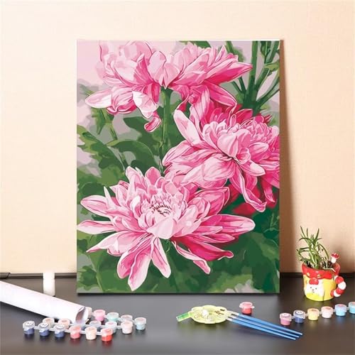 Rosa Blumen Malen Nach Zahlen Erwachsene,DIY Framed DIY Handgemalt Ölgemälde Leinwand Kits Mit Pinsels und Acrylfarbe Als Geschenke und Heimdekoration 40x50cm von ditlvy