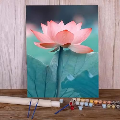 Rosa Lotusblume Malen Nach Zahlen Erwachsene,DIY Framed DIY Handgemalt Ölgemälde Leinwand Kits Mit Pinsels und Acrylfarbe Als Geschenke und Heimdekoration 45x60cm von ditlvy