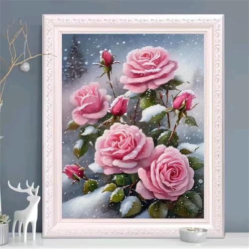 Rosa Mondblumen Malen Nach Zahlen Erwachsene,DIY Framed DIY Handgemalt Ölgemälde Leinwand Kits Mit Pinsels und Acrylfarbe Als Geschenke und Heimdekoration 30x40cm von ditlvy