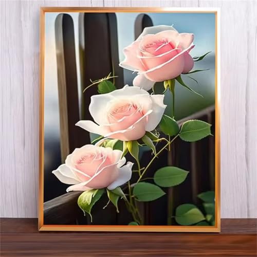 Rosa Rosen Malen Nach Zahlen Erwachsene,DIY Framed DIY Handgemalt Ölgemälde Leinwand Kits Mit Pinsels und Acrylfarbe Als Geschenke und Heimdekoration 50x65cm von ditlvy