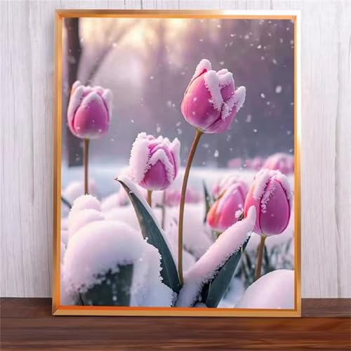 Rosa Tulpen Malen Nach Zahlen Erwachsene,DIY Framed DIY Handgemalt Ölgemälde Leinwand Kits Mit Pinsels und Acrylfarbe Als Geschenke und Heimdekoration 40x50cm von ditlvy