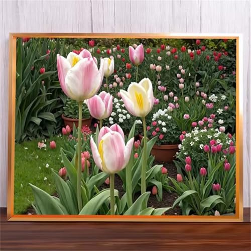 Rosa Tulpen Malen Nach Zahlen Erwachsene,DIY Framed DIY Handgemalt Ölgemälde Leinwand Kits Mit Pinsels und Acrylfarbe Als Geschenke und Heimdekoration 50x65cm von ditlvy