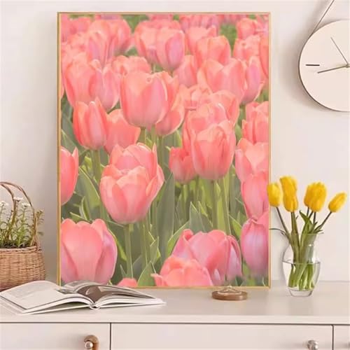 Rosa Tulpen Malen Nach Zahlen Erwachsene,DIY Framed DIY Handgemalt Ölgemälde Leinwand Kits Mit Pinsels und Acrylfarbe Als Geschenke und Heimdekoration 55x70cm von ditlvy