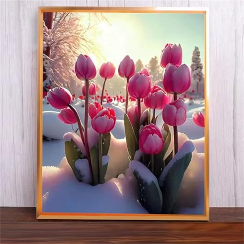 Schneetulpen Malen Nach Zahlen Erwachsene,Without Framed DIY Handgemalt Ölgemälde Leinwand Kits Mit Pinsels und Acrylfarbe Als Geschenke und Heimdekoration 30x40cm von ditlvy