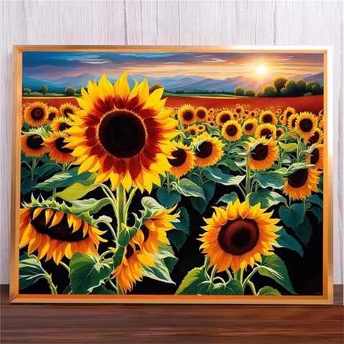 Sonnenblumen Malen Nach Zahlen Erwachsene,DIY Framed DIY Handgemalt Ölgemälde Leinwand Kits Mit Pinsels und Acrylfarbe Als Geschenke und Heimdekoration 40x50cm von ditlvy