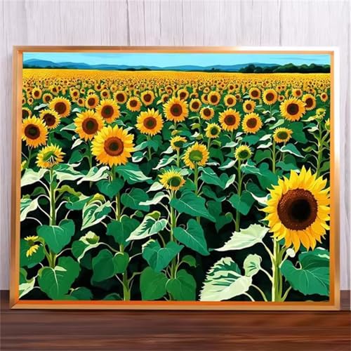 Sonnenblumenmeer Malen Nach Zahlen Erwachsene,DIY Framed DIY Handgemalt Ölgemälde Leinwand Kits Mit Pinsels und Acrylfarbe Als Geschenke und Heimdekoration 45x60cm von ditlvy