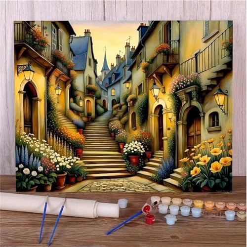 Straßen Malen Nach Zahlen Erwachsene,DIY Framed DIY Handgemalt Ölgemälde Leinwand Kits Mit Pinsels und Acrylfarbe Als Geschenke und Heimdekoration 60x75cm von ditlvy