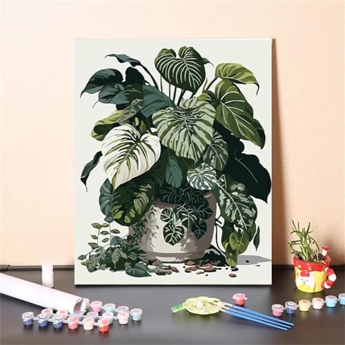 Topfpflanze Malen Nach Zahlen Erwachsene,DIY Framed DIY Handgemalt Ölgemälde Leinwand Kits Mit Pinsels und Acrylfarbe Als Geschenke und Heimdekoration 55x70cm von ditlvy