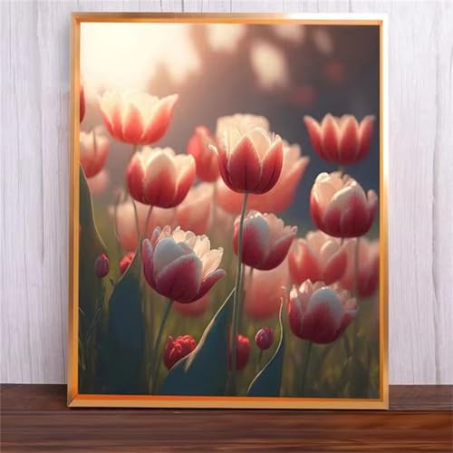 Tulpen Malen Nach Zahlen Erwachsene,DIY Framed DIY Handgemalt Ölgemälde Leinwand Kits Mit Pinsels und Acrylfarbe Als Geschenke und Heimdekoration 60x75cm von ditlvy