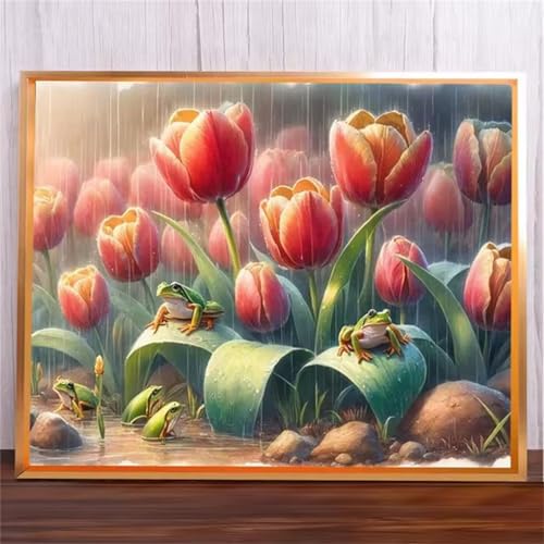 Tulpenfrösche Malen Nach Zahlen Erwachsene,DIY Framed DIY Handgemalt Ölgemälde Leinwand Kits Mit Pinsels und Acrylfarbe Als Geschenke und Heimdekoration 30x40cm von ditlvy