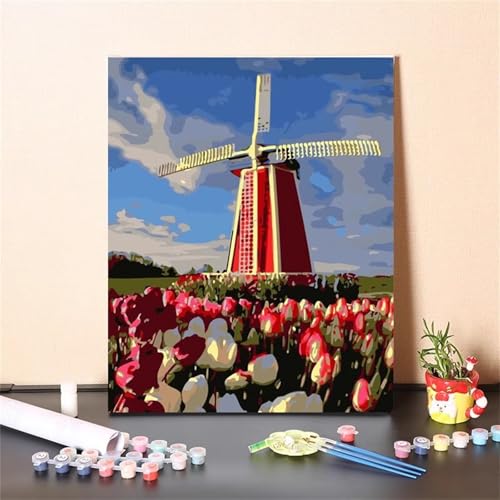 Tulpenwindmühle Malen Nach Zahlen Erwachsene,DIY Framed DIY Handgemalt Ölgemälde Leinwand Kits Mit Pinsels und Acrylfarbe Als Geschenke und Heimdekoration 45x60cm von ditlvy