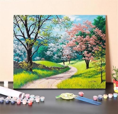 Weglandschaft Malen Nach Zahlen Erwachsene,DIY Framed DIY Handgemalt Ölgemälde Leinwand Kits Mit Pinsels und Acrylfarbe Als Geschenke und Heimdekoration 55x70cm von ditlvy