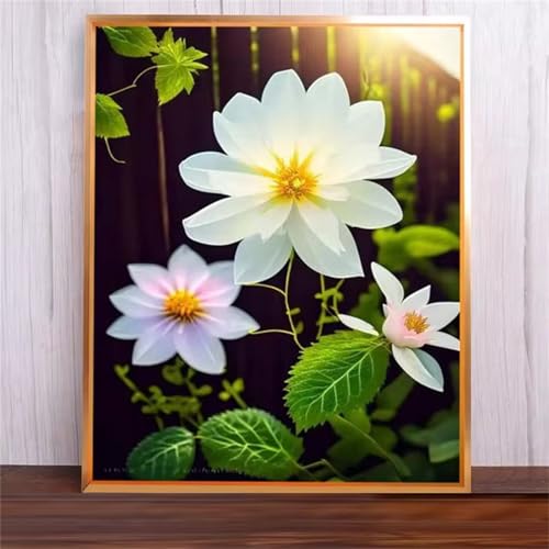 Weiße Blumen Malen Nach Zahlen Erwachsene,DIY Framed DIY Handgemalt Ölgemälde Leinwand Kits Mit Pinsels und Acrylfarbe Als Geschenke und Heimdekoration 50x65cm von ditlvy