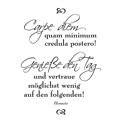 Stempel Clear von EFCO, Motiv: Carpe diem / 1 - teilig von efco