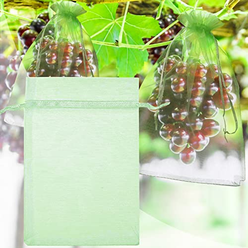 EFUTURETIME 50 x Obst Schutzbeutel Traubenschutzbeutel 30 x 20 cm mit Kordelzug, Insekten Absperrbeutel Mückennetz Weintrauben Netz Pflanzen Organzabeutel zum Schutz vor Wespen, Fruchtfliege, Grün von efuturetime