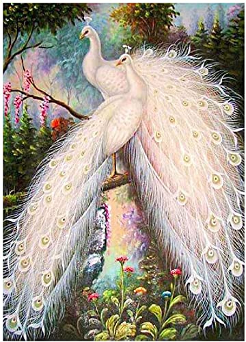 Weißer Pfau-DIY 5D Diamond Painting Kit für Erwachsene Kinder, die beliebteste DIY Dekoration, Full Diamond Cross Stitch Crystal Diamond Painting Home Wall Decoration 30x40cm von egjxal