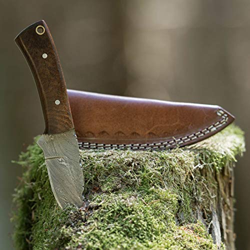 elToro Walnut - Damast - Jagdmesser - 8,3cm - inkl. Lederscheide; Messer für Camping, Outdoor, Survival von elToro