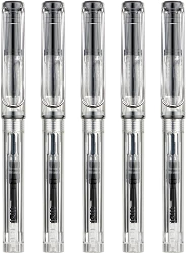 Jinhao 619 Füllfederhalter-Set, 5-teiliges Set aus Kunstharz, mit feiner Spitze aus Iridium, glatt, mit Tintenkonverter (transparent) von erofa