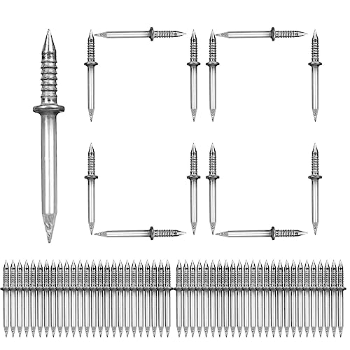 Betonnägel, 200 Stahl Nagel Sortiment Kit, Ziegel Zement Nagel, Rostfrei Nägel Set Stabil, Doppelkopf No Trace Nägel für Holzfurnier, Sockelleisten von fanelod