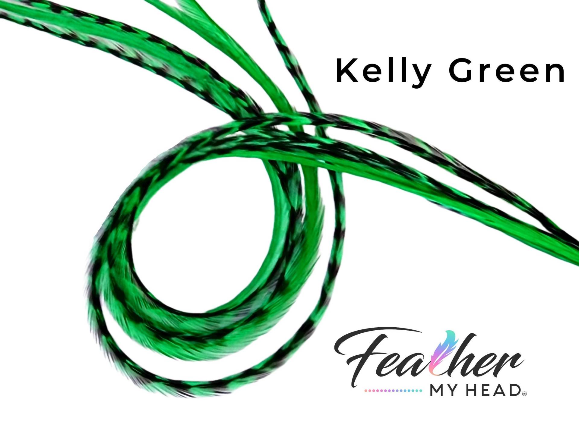 Kelly Green Haar-Feder-Verlängerungen. | 1 Feder, Lange Längen Und Haar Feder Kit Erhältlich von feathermyhead