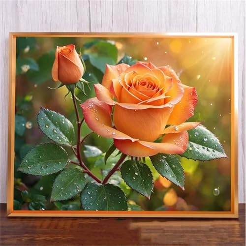 fghgbf 5D Rose Sunshine Diamond Painting Kits for Adults Beginners,DIY Square Full Drill Diamond Art Crystal Rhinestone Cross Stitch Painting by Numbers Picture for Home Wall Decor 70x90cm fghgbf 5D Rose Sunshine Diamond Painting Kits for Adults Beginners,DIY Square Full Drill Diamond Art Crystal Rhinestone Cross Stitch Painting by Numbers Picture for Home Wall Decor 70x90cm von fghgbf