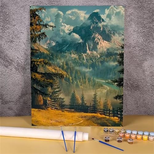 fghgbf Berglandschaft Malen Nach Zahlen Erwachsene,DIY Framed DIY Handgemalt Ölgemälde Kit Paint by Numbers Adult Mit Pinseln und Acrylfarbe für Geschenk Heimdekoration 40x50cm von fghgbf