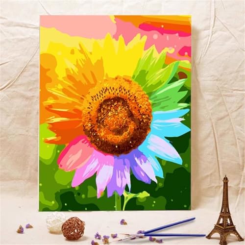 fghgbf Bunte Sonnenblume Malen Nach Zahlen Erwachsene,DIY Framed DIY Handgemalt Ölgemälde Kit Paint by Numbers Adult Mit Pinseln und Acrylfarbe für Geschenk Heimdekoration 30x40cm von fghgbf