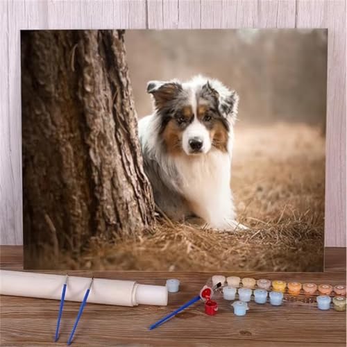 fghgbf Hund Malen Nach Zahlen Erwachsene,DIY Framed DIY Handgemalt Ölgemälde Kit Paint by Numbers Adult Mit Pinseln und Acrylfarbe für Geschenk Heimdekoration 30x40cm von fghgbf