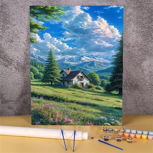 fghgbf Ländliches Ferienhaus Malen Nach Zahlen Erwachsene,DIY Framed DIY Handgemalt Ölgemälde Kit Paint by Numbers Adult Mit Pinseln und Acrylfarbe für Geschenk Heimdekoration 30x40cm von fghgbf