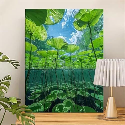 fghgbf Wasserlotusblätter Malen Nach Zahlen Erwachsene,DIY Framed DIY Handgemalt Ölgemälde Kit Paint by Numbers Adult Mit Pinseln und Acrylfarbe für Geschenk Heimdekoration 45x60cm von fghgbf