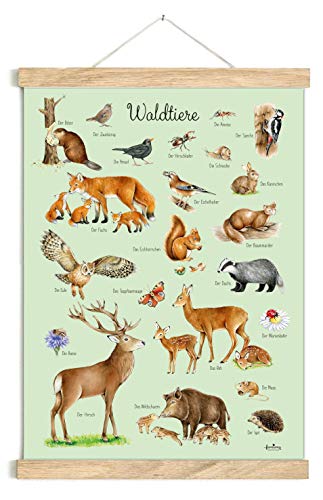 fioniony POSTER 50 x 70 cm WALDTIERE GRÜN UNGERAHMT OHNE HOLZLEISTE Tierposter Lernposter Schulanfang 1. Klasse Kinderposter Kinderzimmer Babyzimmer Wandbild Schule Kindergarten von fioniony