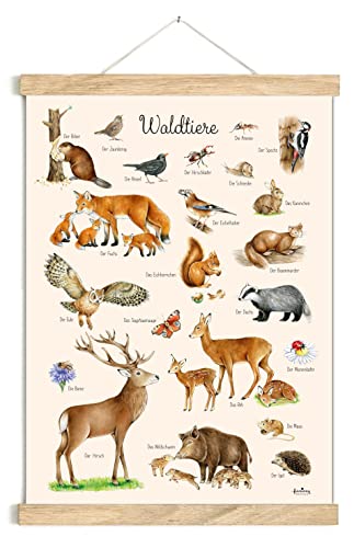 fioniony WALDTIERE POSTER BEIGE 50 x 70 cm UNGERAHMT OHNE HOLZLEISTE Tierposter Lernposter Schulanfang 1. Klasse Kinderposter Kinderzimmer Babyzimmer Wandbild Schule Kindergarten von fioniony