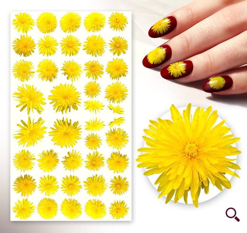 Nagelaufkleber | 5 Blatt Hellgelb Daisy Niedliche Kleine Blumen Flonz 101-227 von flonz