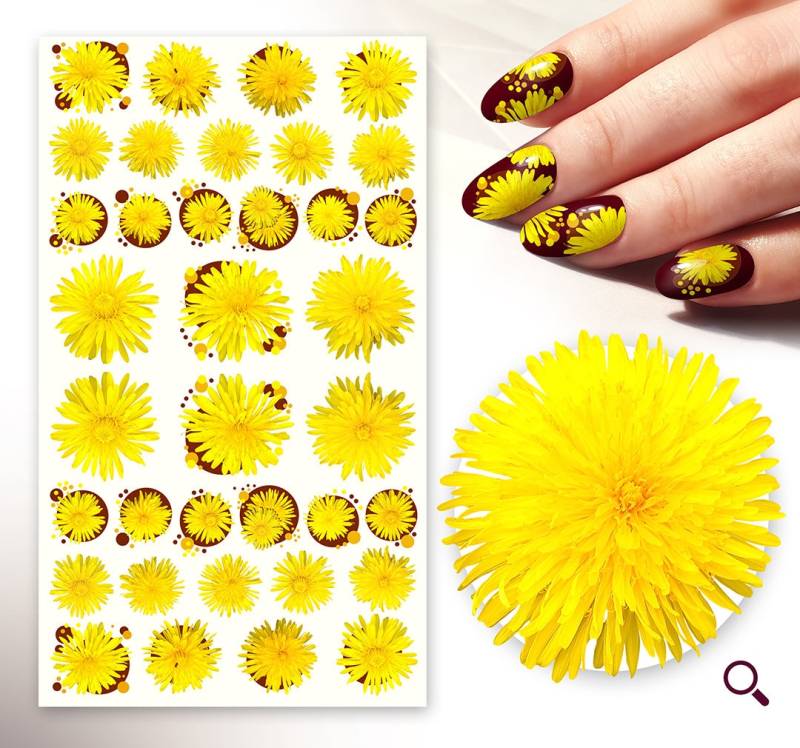 Nagelaufkleber | 5 Blatt Tolle Gelbe Daisy Blumen Süß Sommer Und Frühling Flonz 101-228 von flonz