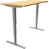 fm Sidney elektrisch höhenverstellbarer Schreibtisch buche rechteckig, T-Fuß-Gestell silber 160,0 x 80,0 cm von fm