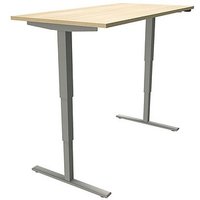 fm Sidney elektrisch höhenverstellbarer Schreibtisch königsahorn rechteckig, T-Fuß-Gestell silber 160,0 x 80,0 cm von fm