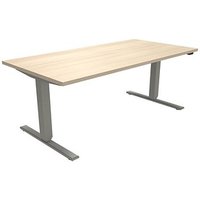 fm fastline elektrisch höhenverstellbarer Schreibtisch akazie rechteckig, T-Fuß-Gestell silber 160,0 x 80,0 cm von fm