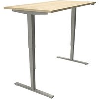 fm fastline elektrisch höhenverstellbarer Schreibtisch königsahorn rechteckig, T-Fuß-Gestell silber 160,0 x 80,0 cm von fm