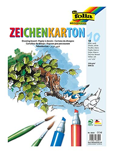 folia 8820 - Zeichenkarton, 250 g/m², DIN A2, 10 Blatt, weiß - Zeichenpapier für vielfältige kreative Ideen von folia