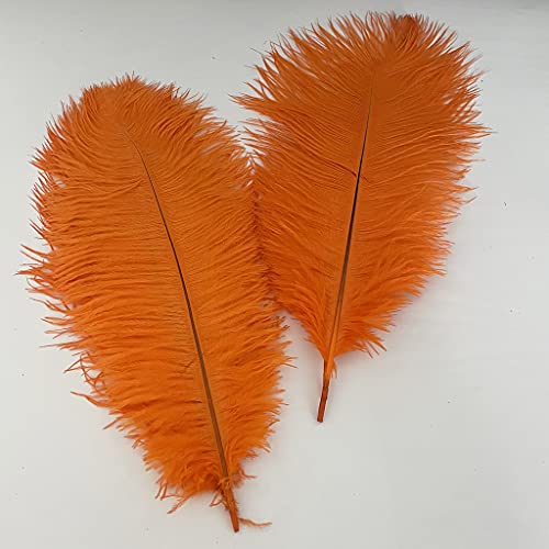 20 Stück natürliche Straußenfedern, 25–30 cm, Federbusch für Hochzeitsdekoration, Osterhauben, Kostümanpassung und Halloween-Party, Karneval 20 Stück natürliche Straußenfedern, 25–30 cm, Federbusch für Hochzeitsdekoration, Osterhauben, Kostümanpassung und Halloween-Party, Karneval von generic