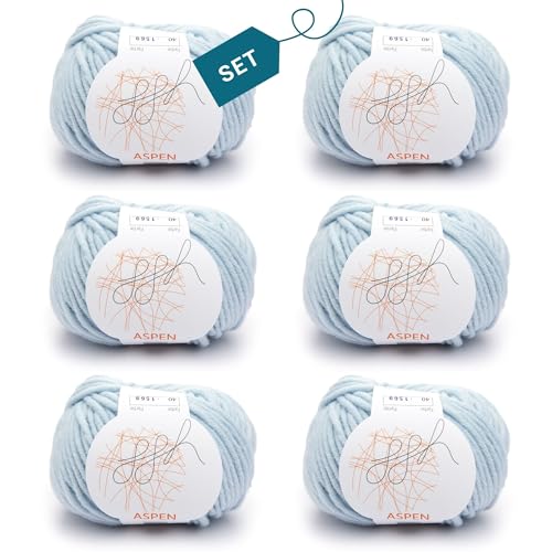 ggh Aspen Box - dicke Merinowolle Mischung - 6x50g Knäuel (insgesamt 300g) - zum Stricken oder Häkeln Farbe 040 - Silberblau von ggh