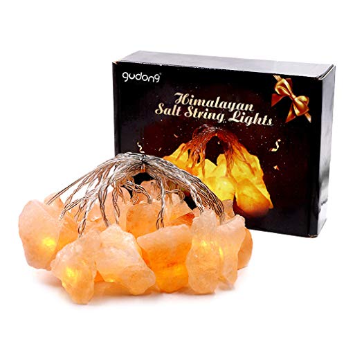 gudong Punjab Pakistan Himalaya-Salzlichterketten, USB-Lichterketten, rosa Salzkristalllampe Schlafzimmer und Hauptdekorationen Nachtlichterketten-Geschenk für Kinder, Eltern, Freunde （ 20 lights von gudong