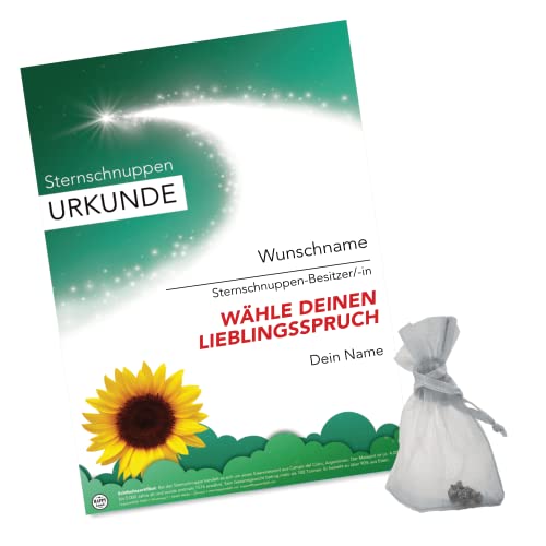 happylandgifts® Premium | Echte Sternschnuppe zum DANKE sagen | Personalisierte Urkunde mit Wunschname und persönlicher Widmung | Merci von happylandgifts