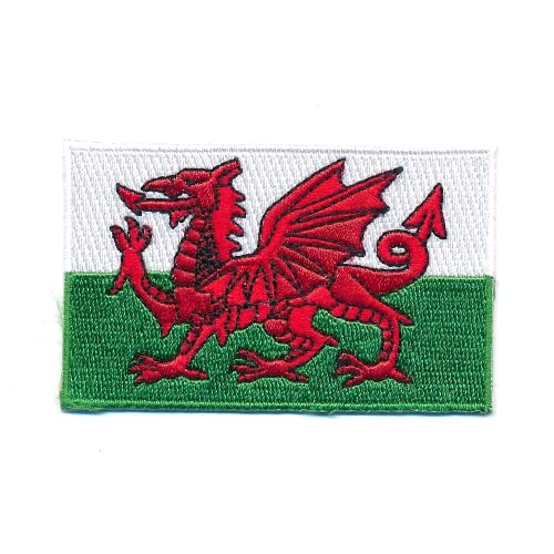 40 x 25 mm Wales Cardiff Flagge Flag Europa GB EU Edel Aufnäher Aufbügler 1207 A von hegibaer