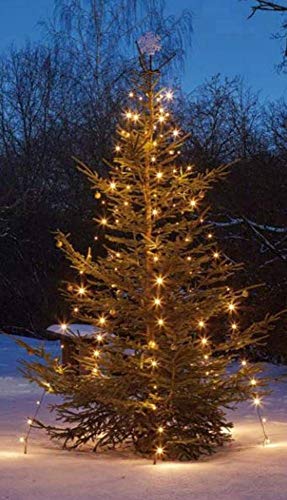 hellum Christbaumbeleuchtung für außen, 220 LEDs warmweiß, 10 Stränge mit Fixierung, Höhe 180cm, Weihnachtsbaum Lichterkette mit grünem Kabel, Zuleitung 5m, <59lm 577907 von hellum