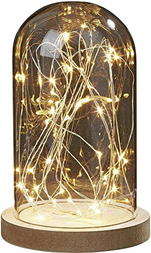 hellum Glasglocke mit Lichterkette warmweiß 30 LEDs, Glasglocke mit Holzboden Höhe 19,5cm Ø12cm, Deko batteriebetrieben (nicht inklusive) mit Timer Valentinstag Dekoration 523713 von hellum