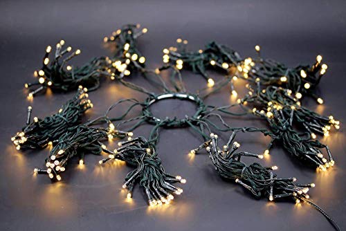 hellum LED Christbaumbeleuchtung mit Ring, LED Weihnachtsbaumbeleuchtung Außen 10 Stränge x 2,5m, warmweiße Lichterkette Außen Weihnachten, Weihnachtsbaumdeko, 577914 von hellum