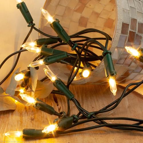 hellum Lichterkette 10 LED 1,35m beleuchtet, LED Lichterkette warmweiß, Lichterketten Weihnachtsbaum Beleuchtung innen, Lichterkette 10er grünes Kabel, Lichterkette Strom 1,5m Zuleitung <59lm 150193 von hellum